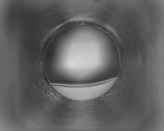 X0000075830872200609150843
