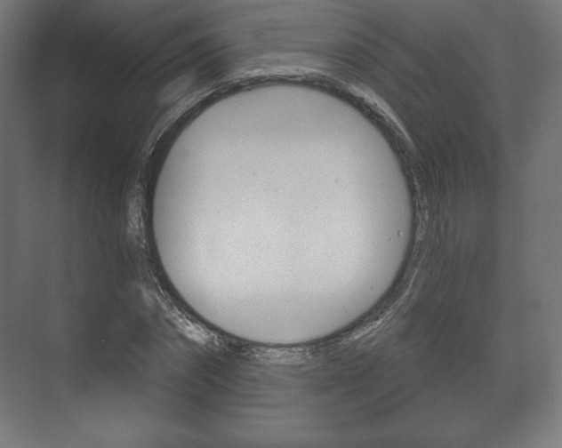 X0000075830874200609150843