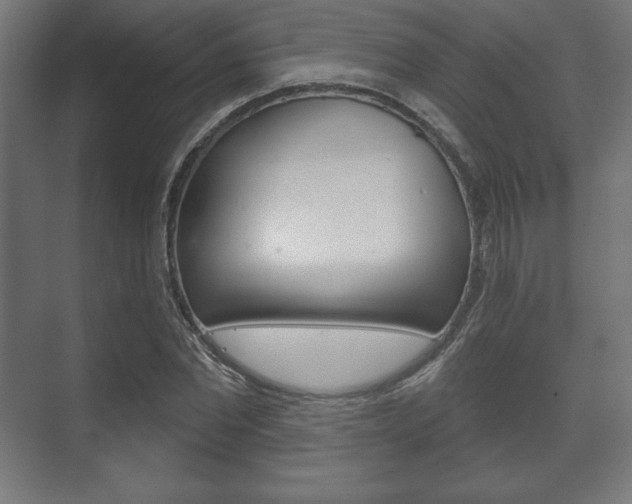 X0000075830877200609150843