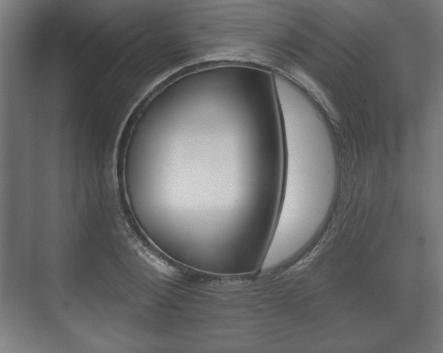 X0000075830884200609150843