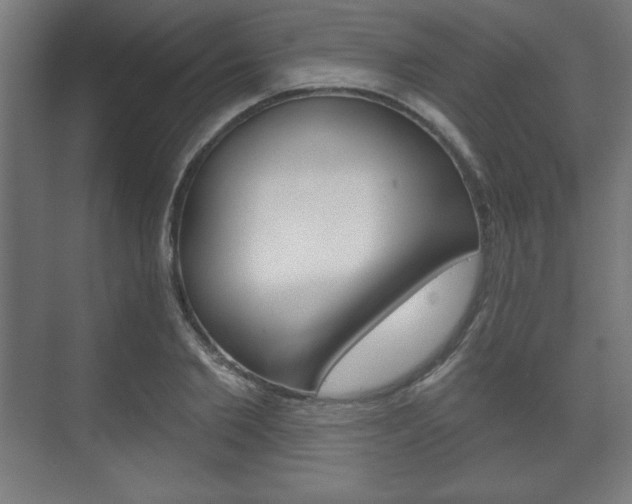 X0000075830885200609150843