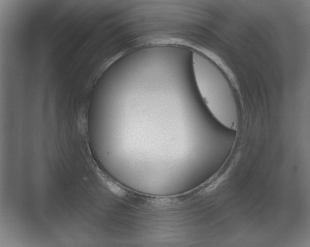 X0000075830897200609150843