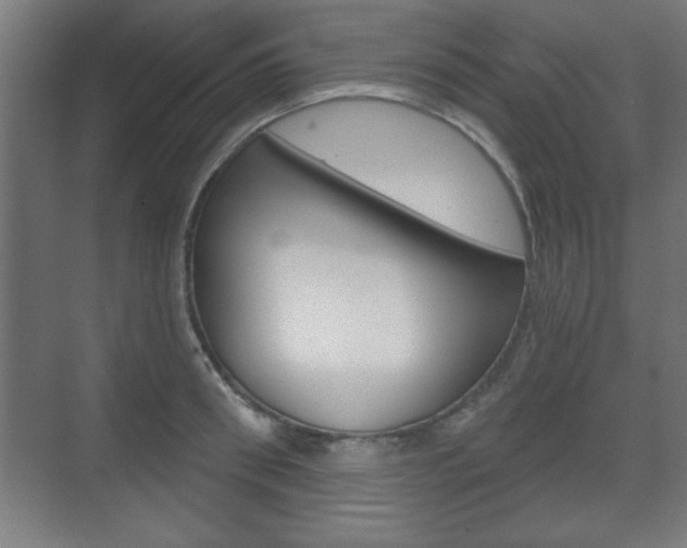 X0000075830898200609150843