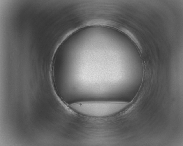 X0000075830901200609150843