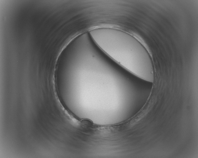 X0000075830906200609150843