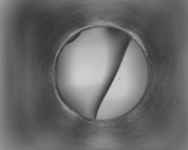 X0000075830911200609150842