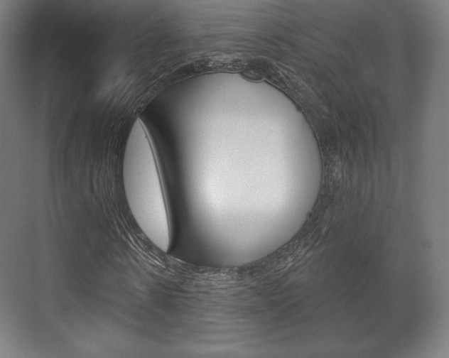 X0000075830914200609150842