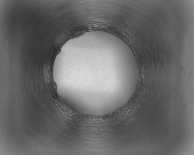 X0000075830915200609150842