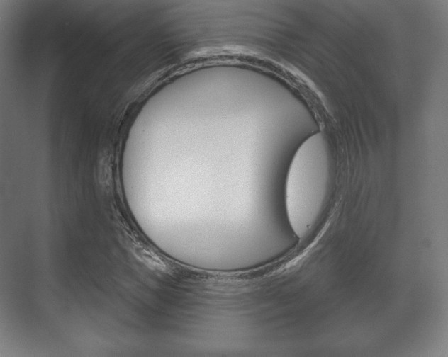 X0000075830921200609150842