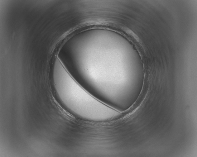 X0000075830922200609150842