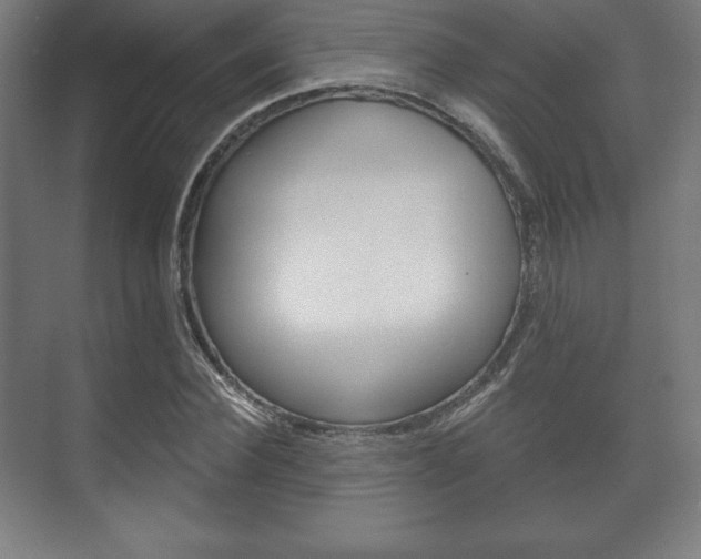 X0000075830924200609150842