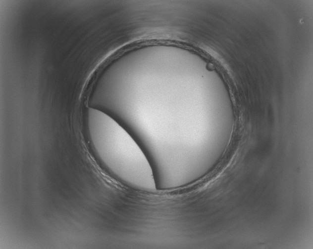 X0000075830925200609150842