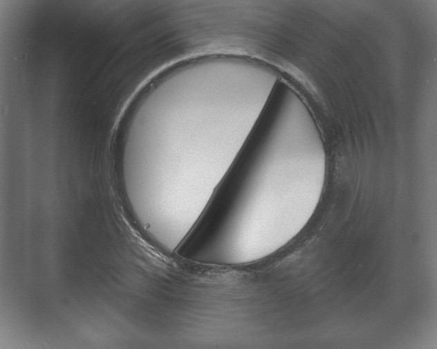 X0000075830926200609150842