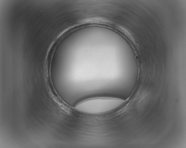 X0000075830931200609150842