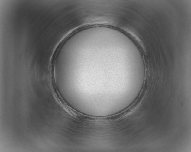 X0000075830933200609150842