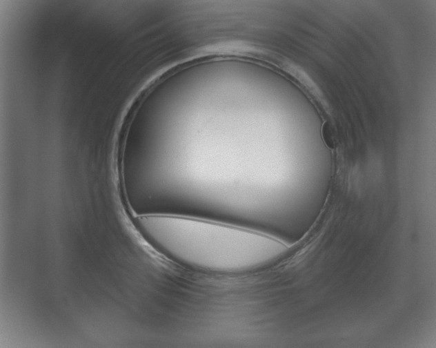 X0000075830939200609150842