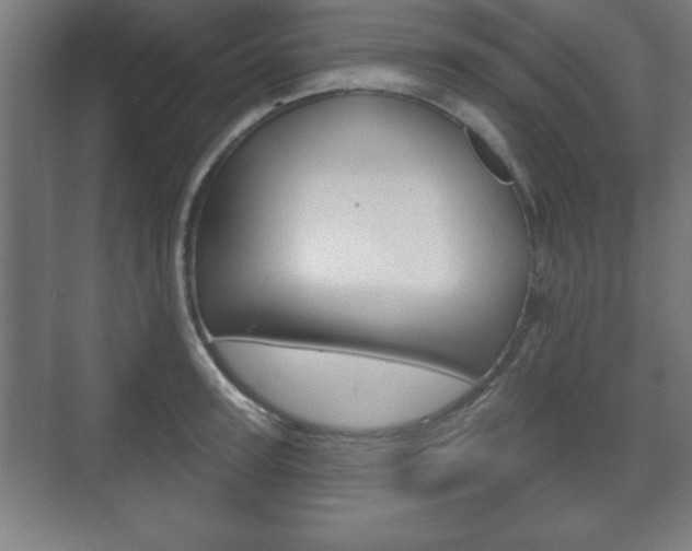 X0000075830947200609150842