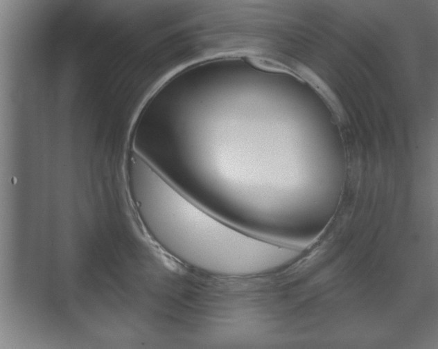 X0000075830956200609150842