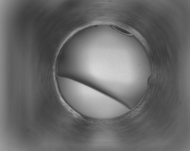 X0000075830958200609150842