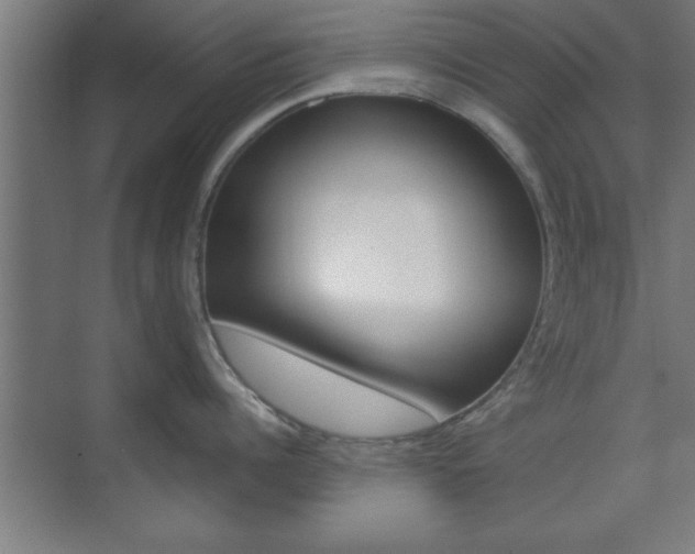X0000075830960200609150842