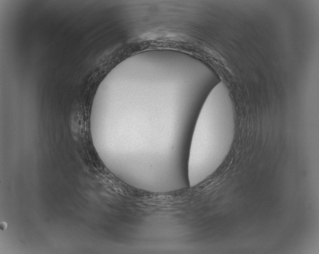 X0000075830966200609150842