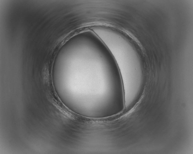 X0000075830969200609150842
