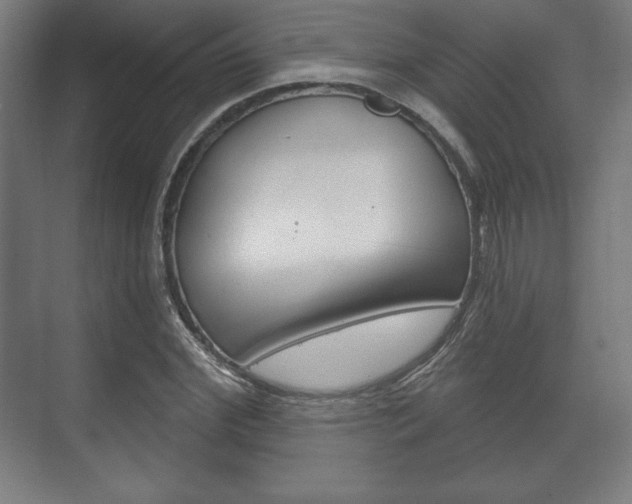 X0000075830972200609150841