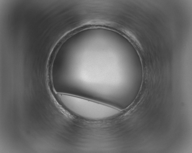 X0000075830976200609150841