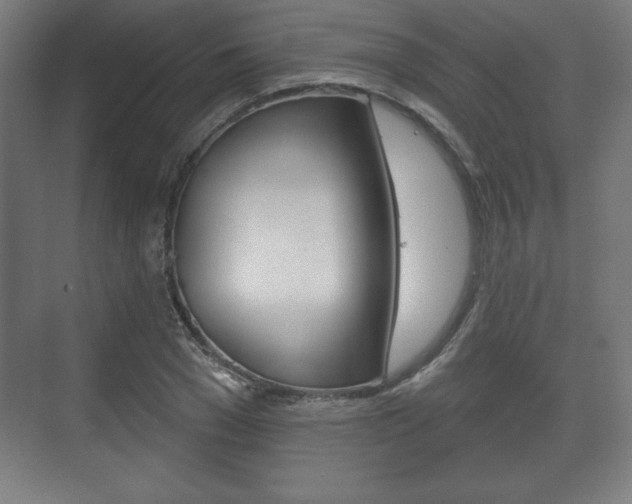 X0000075830977200609150841