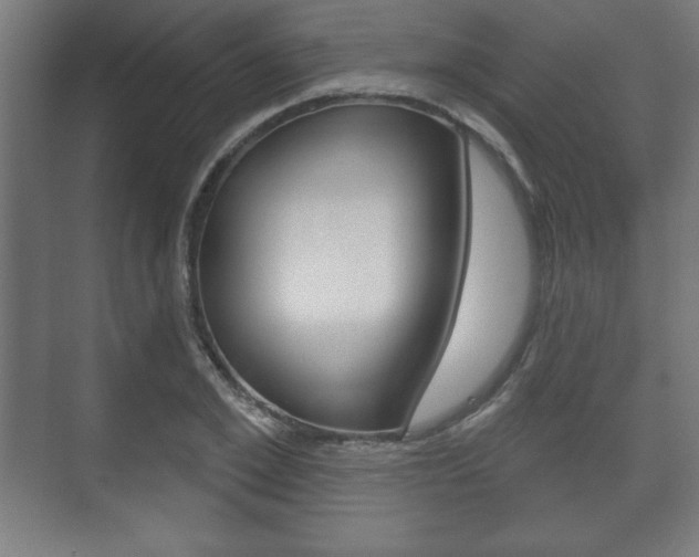 X0000075830981200609150841