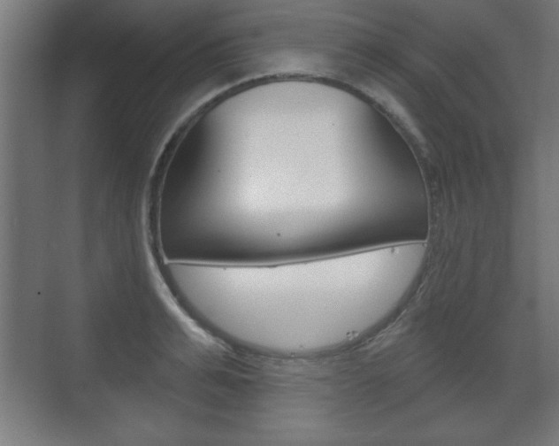 X0000075830991200609150841