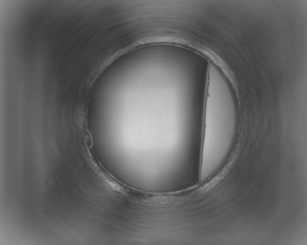 X0000075830993200609150841