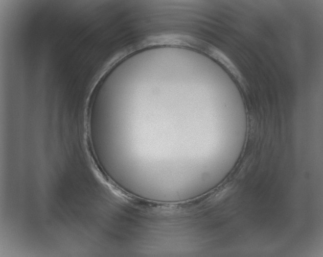 X0000075830994200609150841