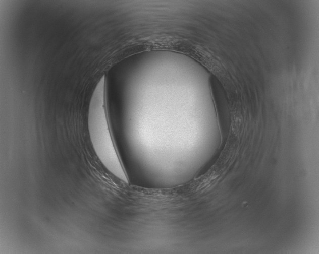 X0000075831010200609150840