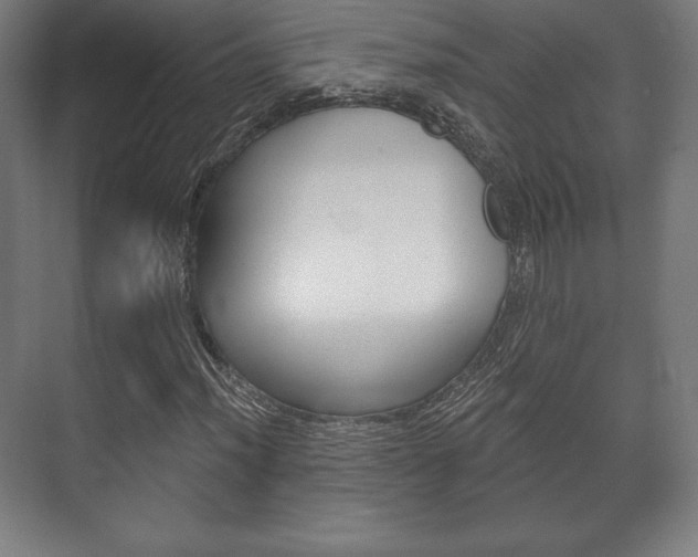 X0000075831012200609150840