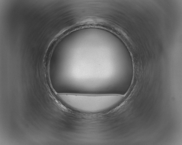 X0000075831018200609150840
