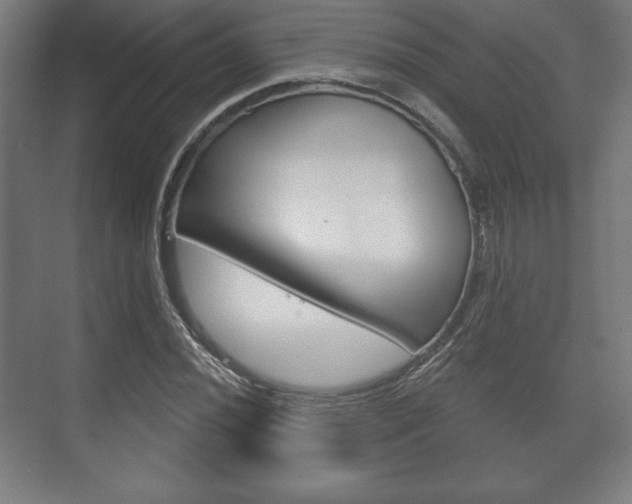 X0000075831020200609150840