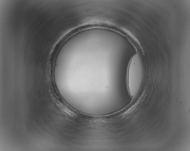 X0000075831021200609150840