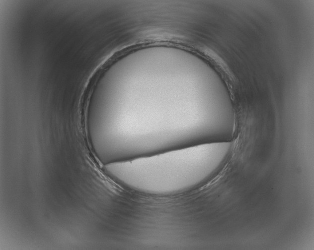 X0000075831023200609150840
