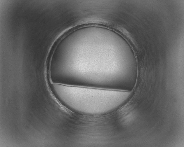 X0000075831024200609150840