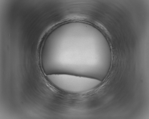 X0000075831027200609150840