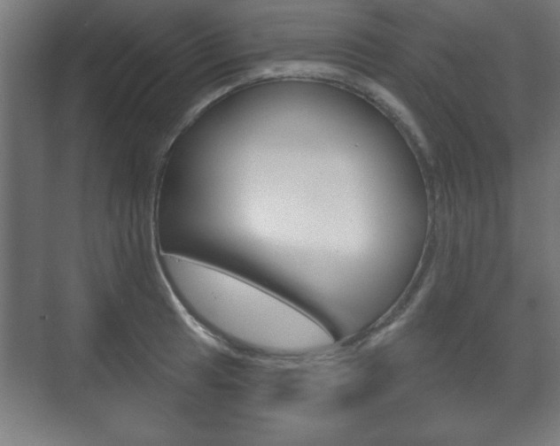 X0000075831041200609150841