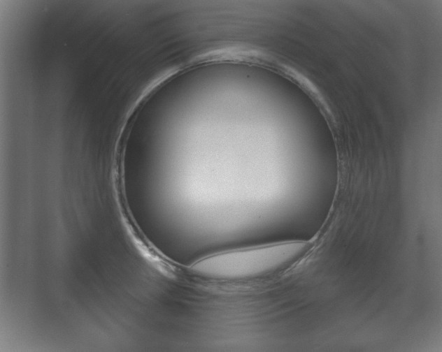 X0000075831042200609150841