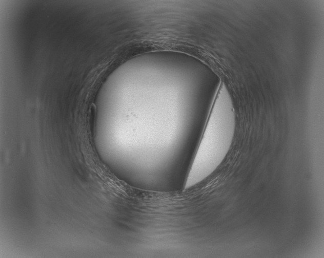 X0000075831057200609150840