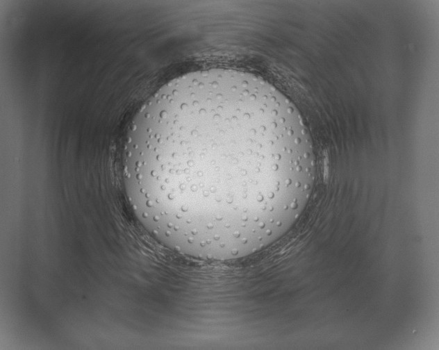 X0000075831059200609150840
