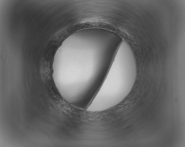 X0000075831062200609150840