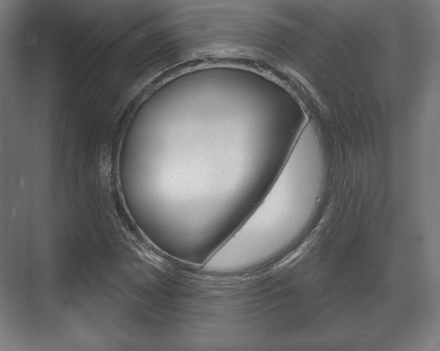 X0000075831065200609150840
