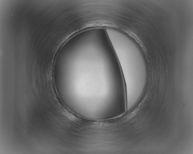 X0000075831081200609150840