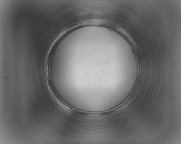 X0000075831083200609150840