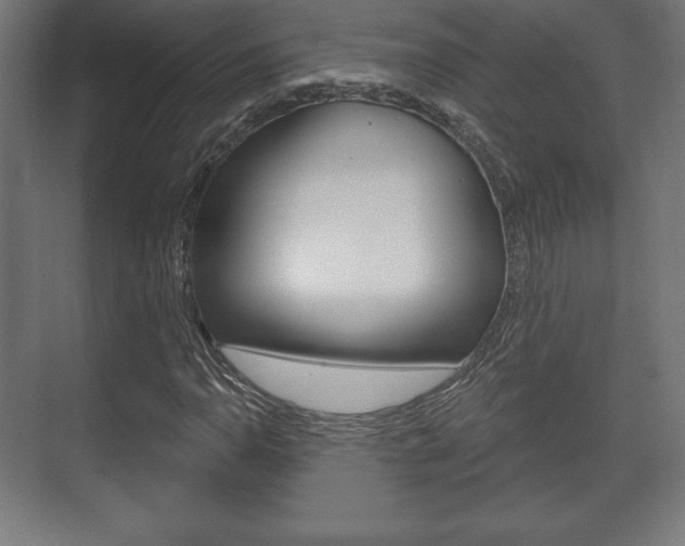 X0000075831110200609150839
